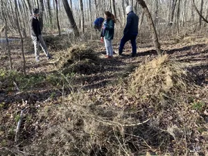 Friends of Lums Pond
