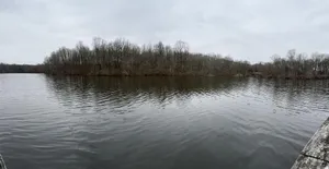 Friends of Lums Pond