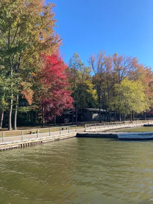 Friends of Lums Pond