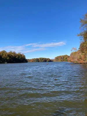 Friends of Lums Pond