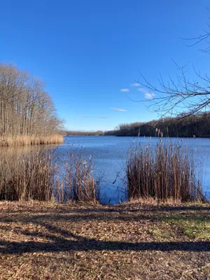 Friends of Lums Pond